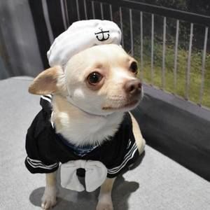 Meet your Posher, Rob